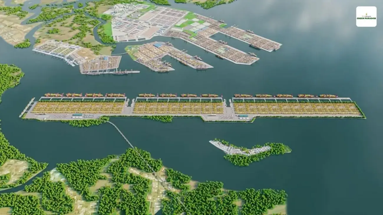 Giá đất Cần Giờ hiện tại (cập nhật theo khu vực)